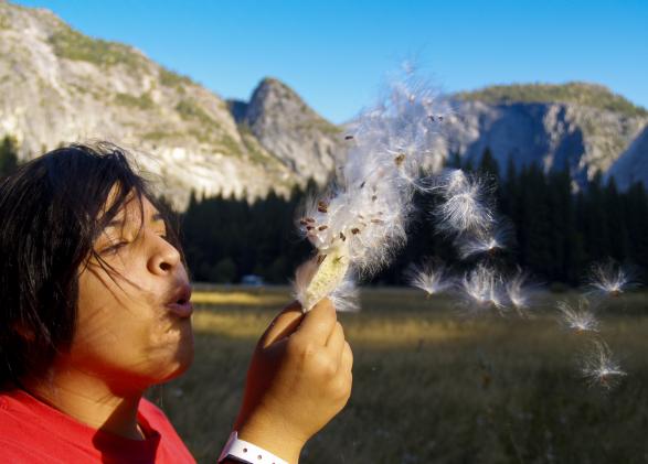 WildLink student at Yosemite National Park, NatureBridge