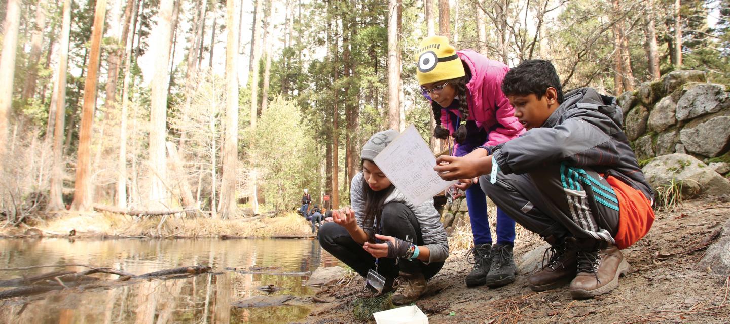 Students kneel by the Merced River in Yosemite National Park while doing a science investigation on water quality.